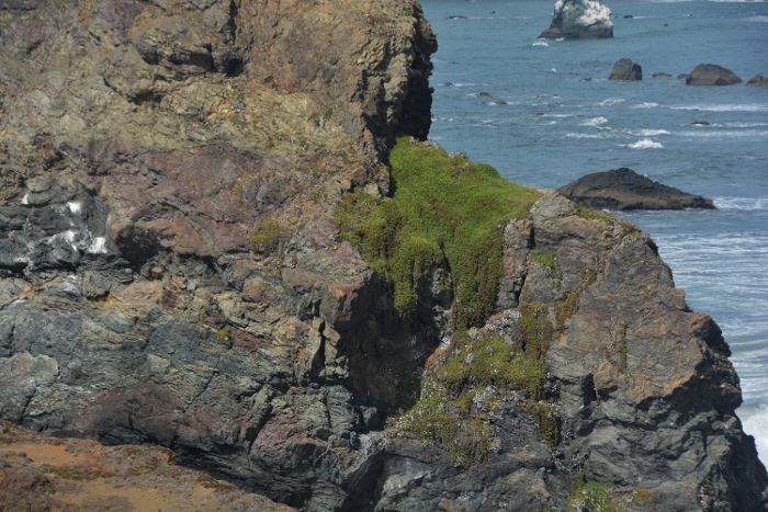 Otter Point